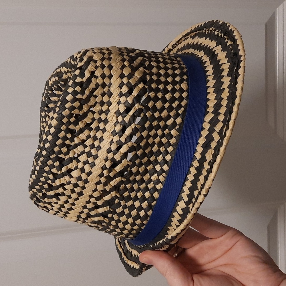 Aeo Straw Fedora Hat